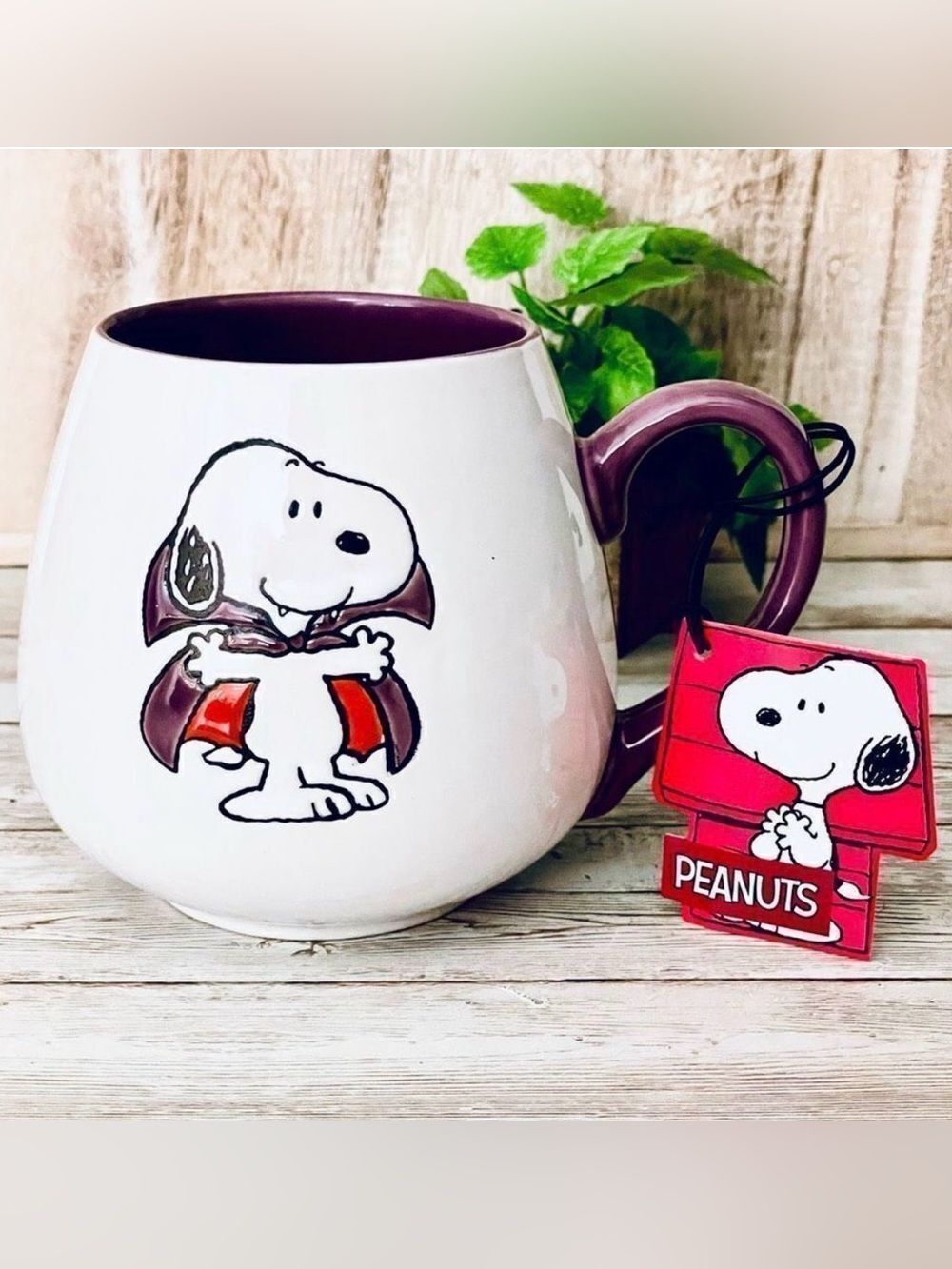 NWT Gorgeous Peanuts Dracula Snoopy Halloween Purple White Pumpkin Pitcher Mug